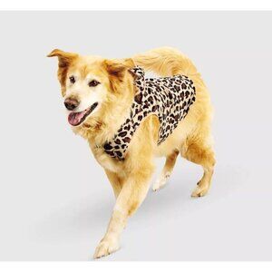 Target Halloween Leopard Cat Dog Hoodie Hyde & EEK! Boutique™ Sizes Med /Lg
